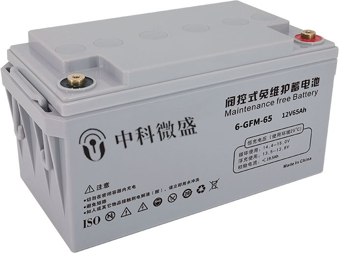 北京晟泰贸易有限公司商城-UPS不间断电源主机6-GFM-65